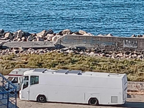 The one and only bus !